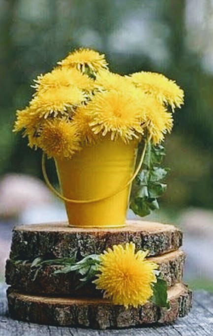 Jardinagem