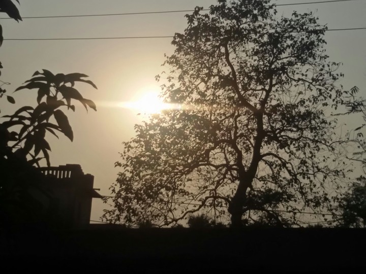 Sunset