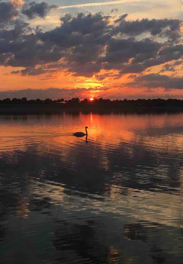 Lake sunset