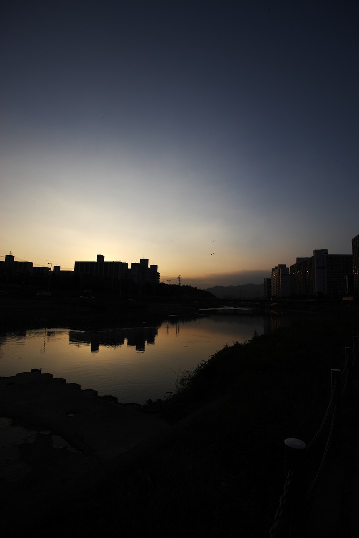 Scenics
