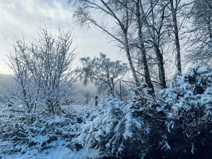 Snow Day