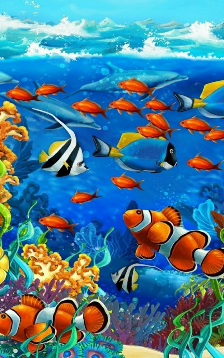 fish
