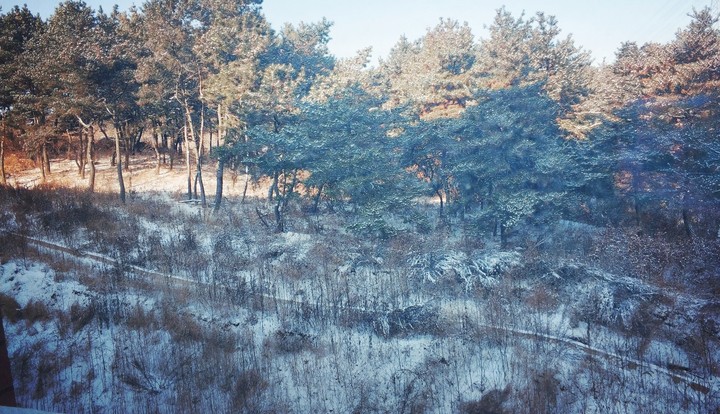 like the fall in this winter