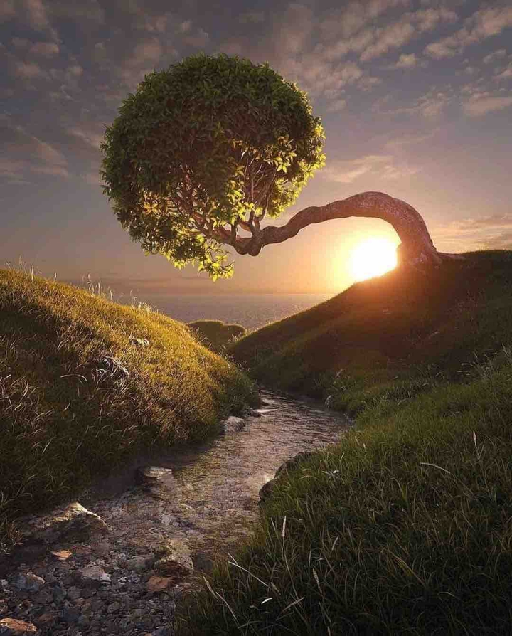nature