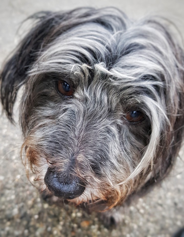 little Sally