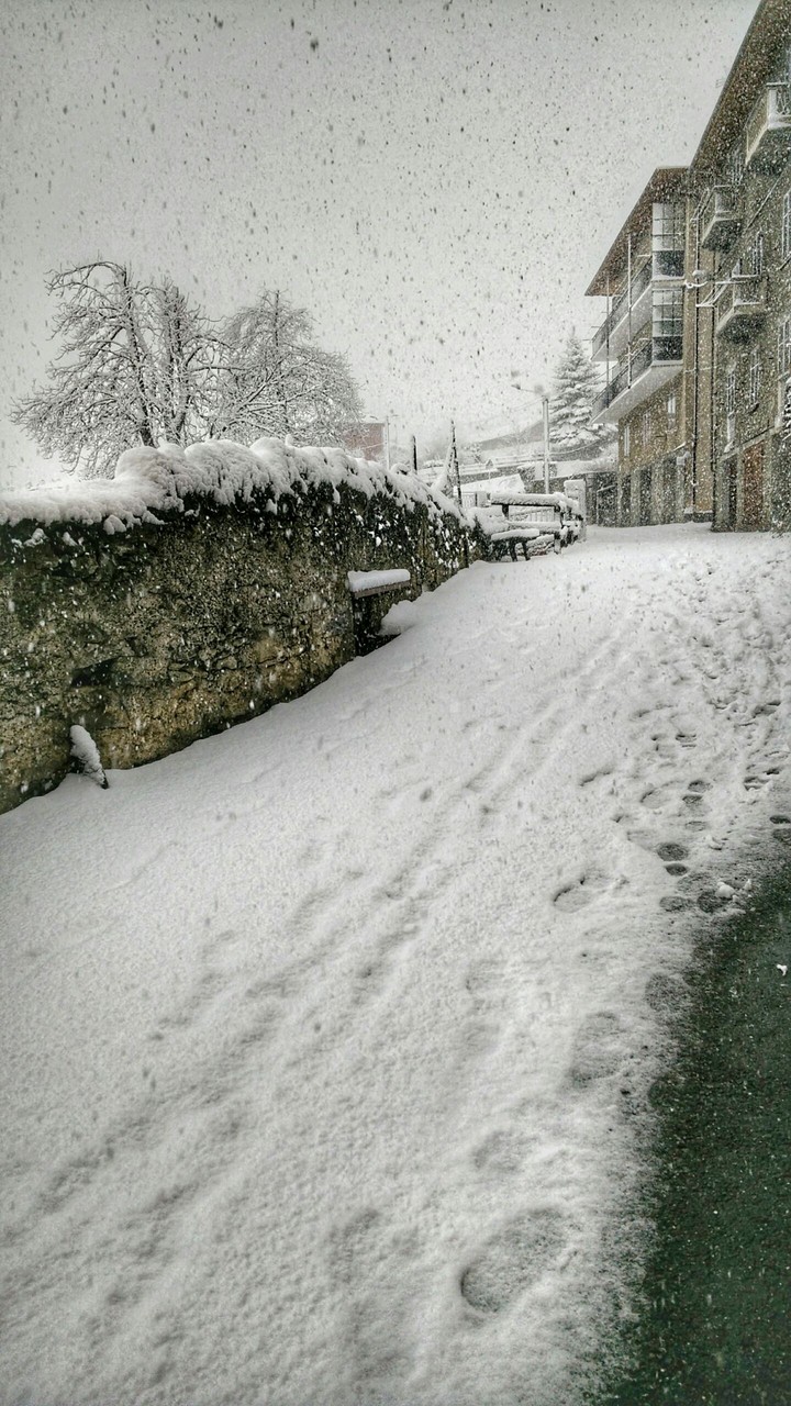 A snowy march