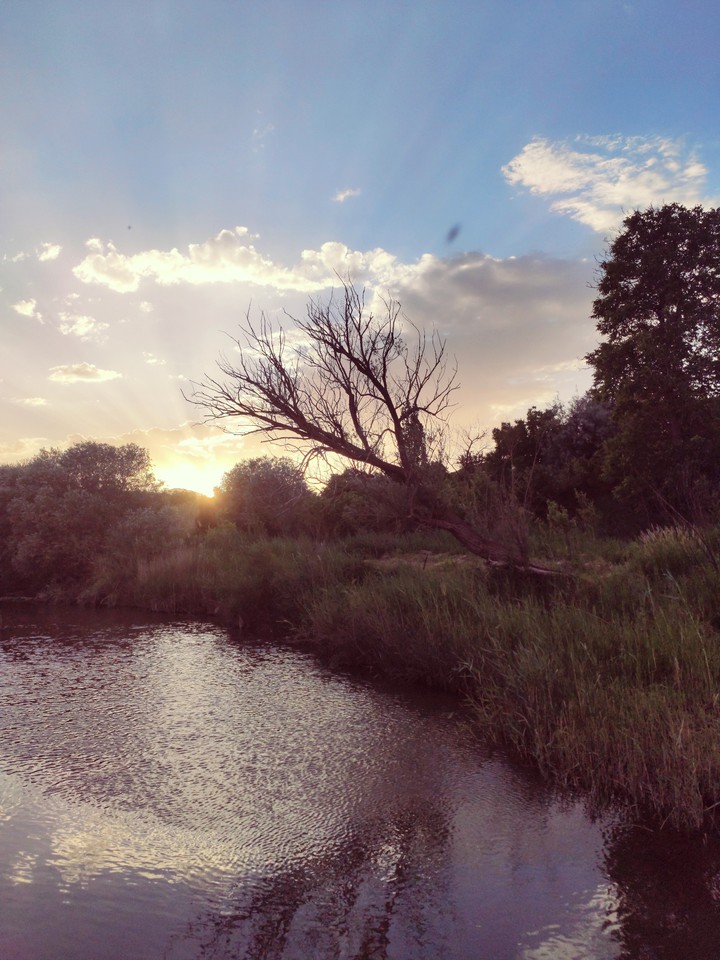 joshaghan's sunset