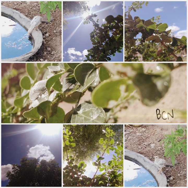 Nature...