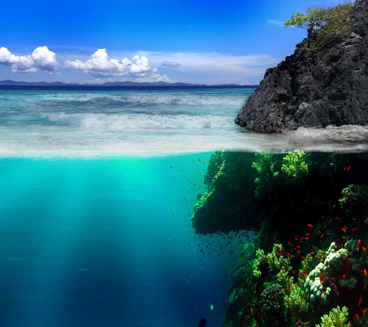 Sea