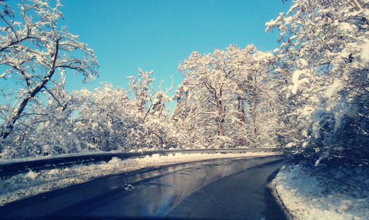 frozen winter