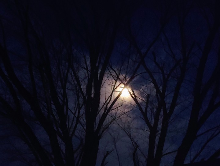 5 am. Tuesday's Moon