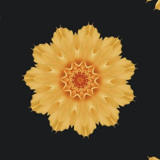 Gg ❤️