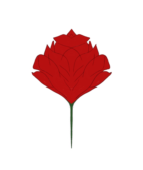 Rose