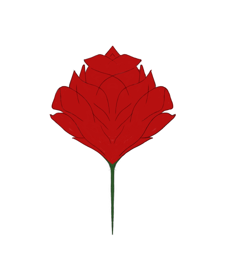 Rose