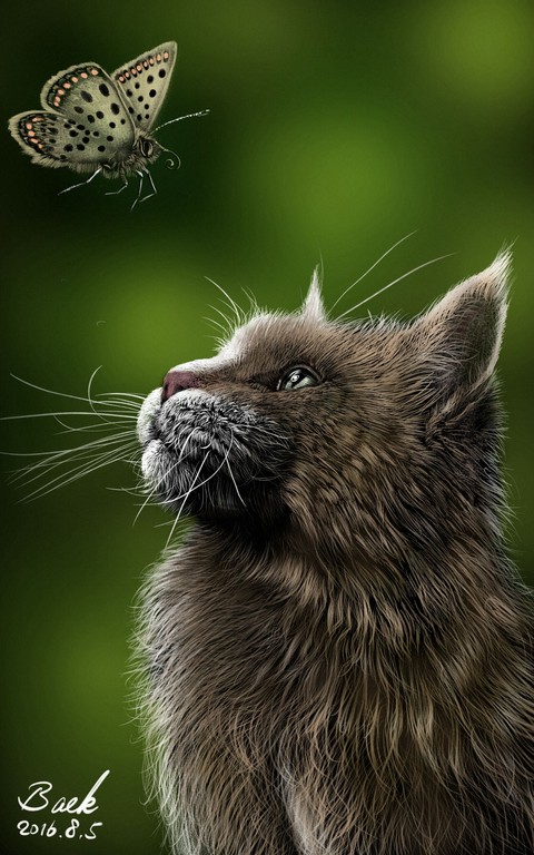 cat