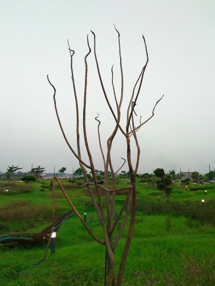Nature