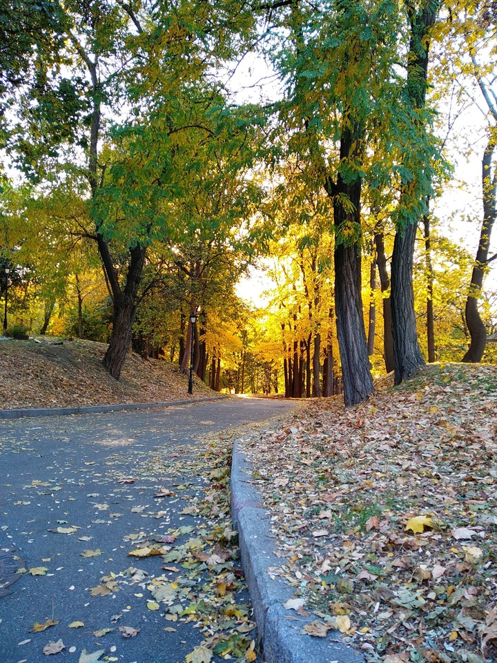 Beautiful autumn