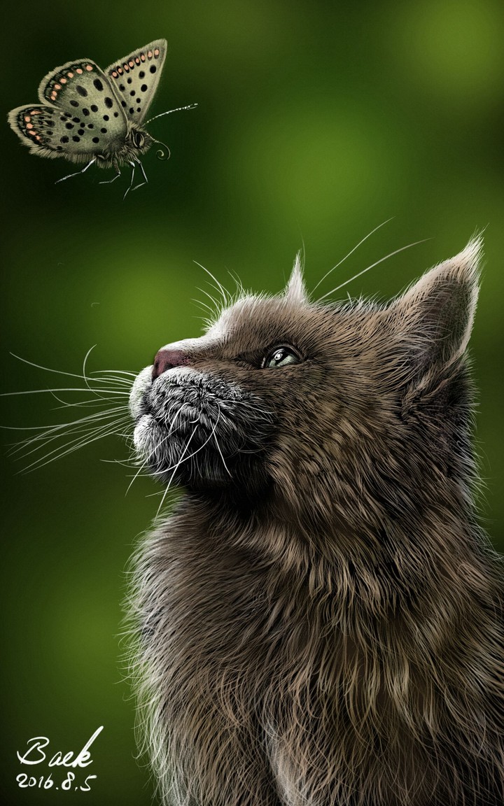cat