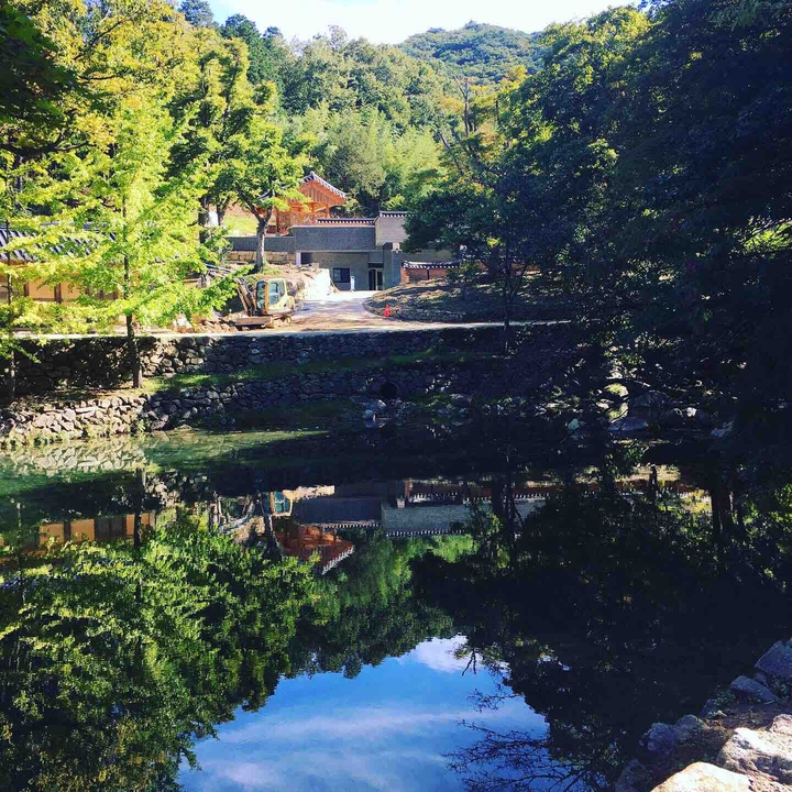 Beautiful pond