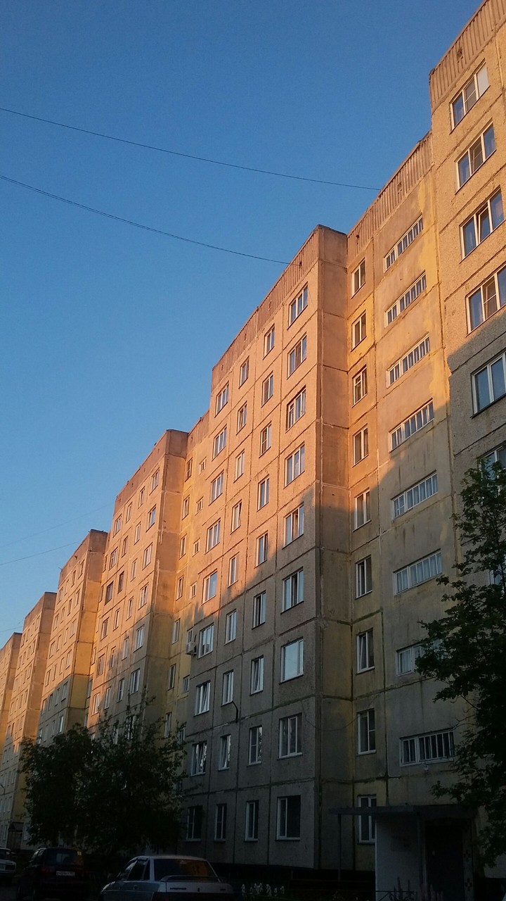 summer in Zarinsk