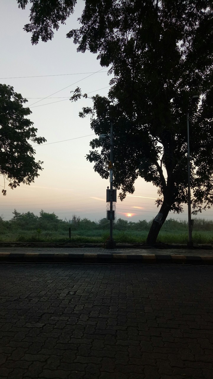 sunrise, nature