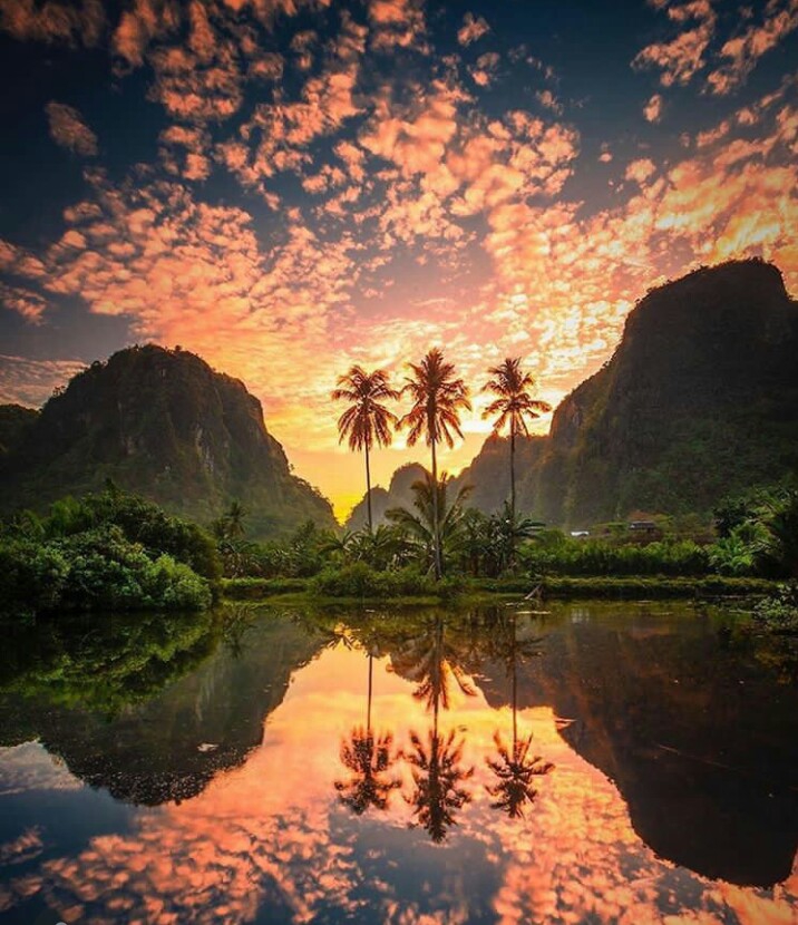 view beautiful