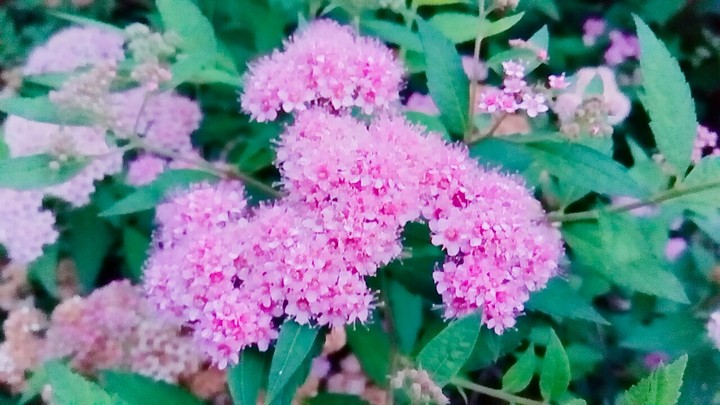 Красивенько