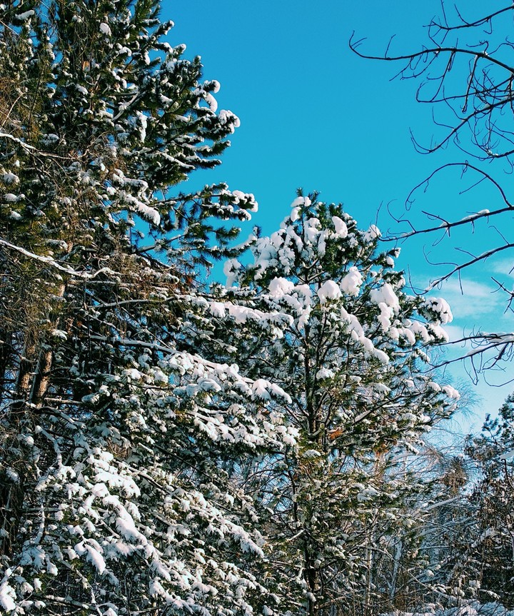 winter