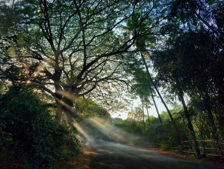 Goa