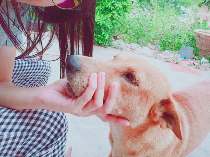 nice to meet you
