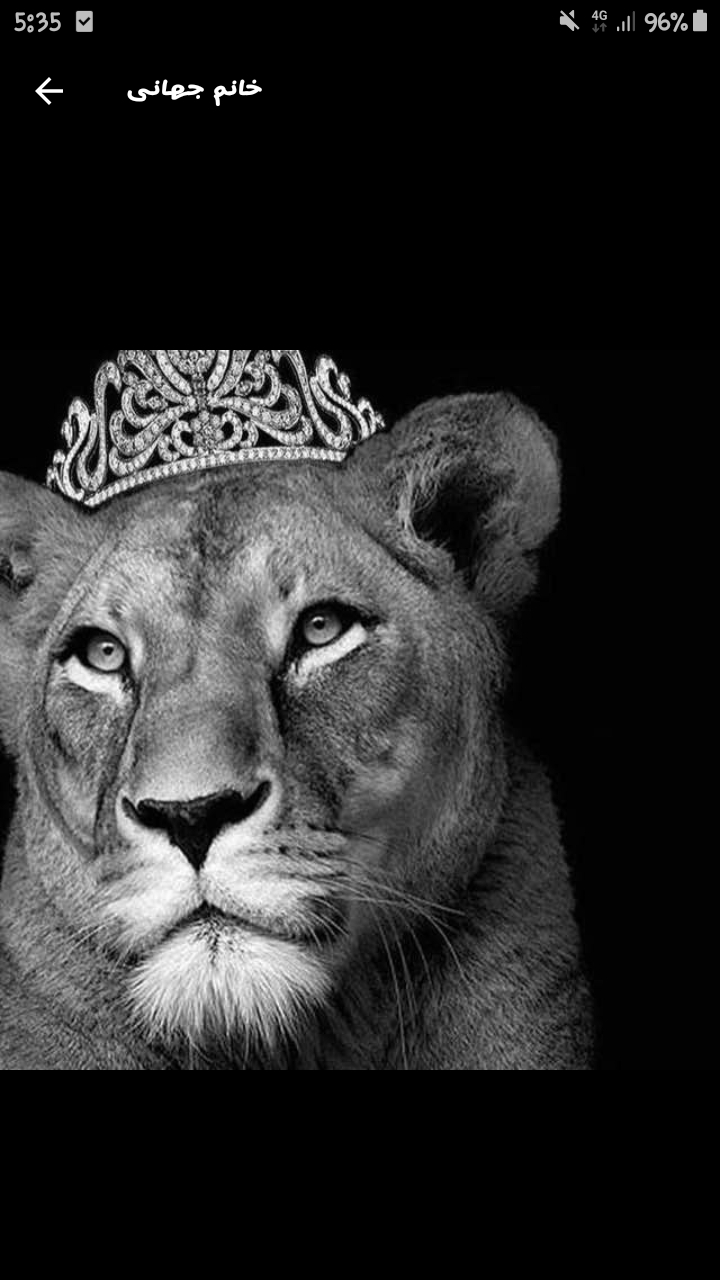 Queen