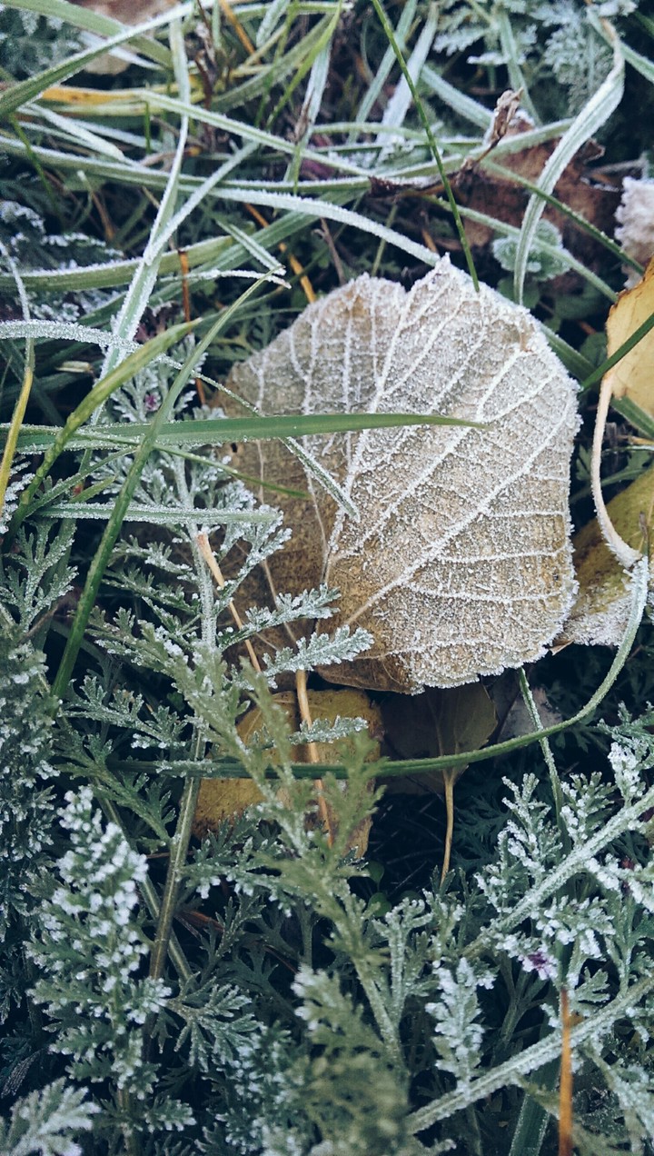 winter