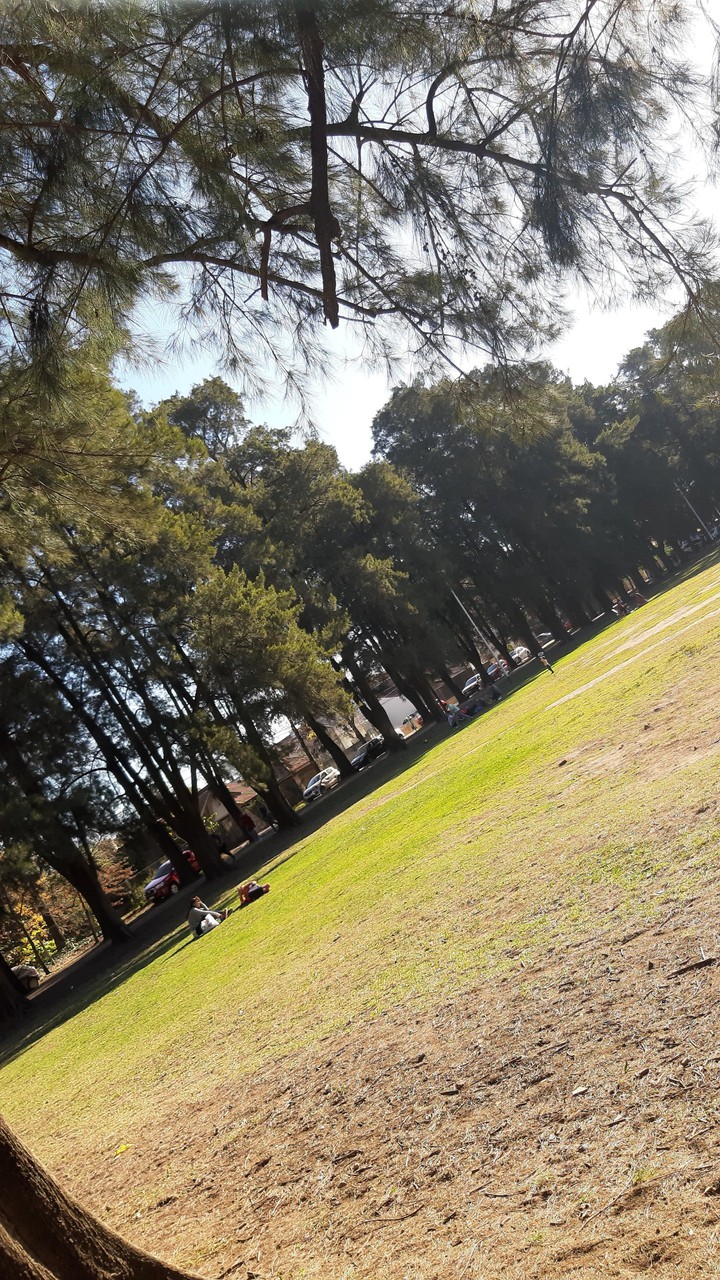 #Campo Amat #Argentina #nature