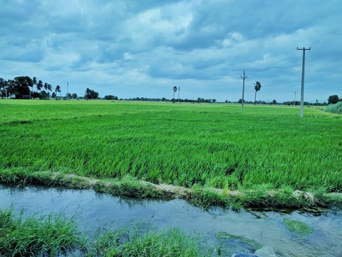 beautiful climate