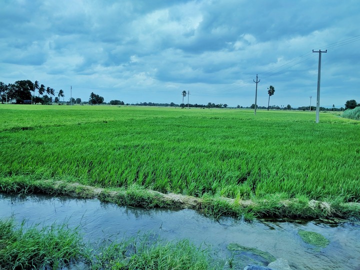 beautiful climate