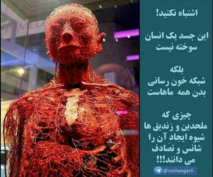 ای ملحدین چرا تصادفی.....