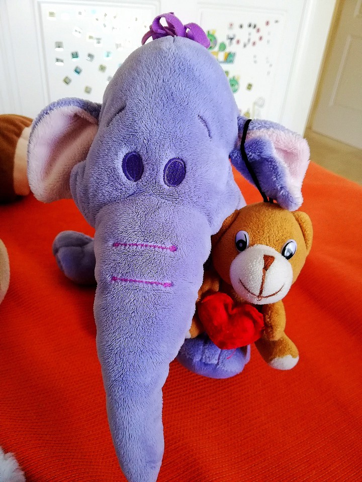 Lumpy and friend