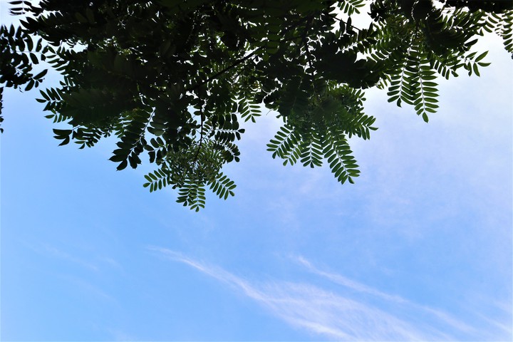 Blue summer sky