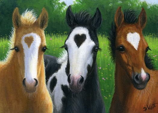 cavalos