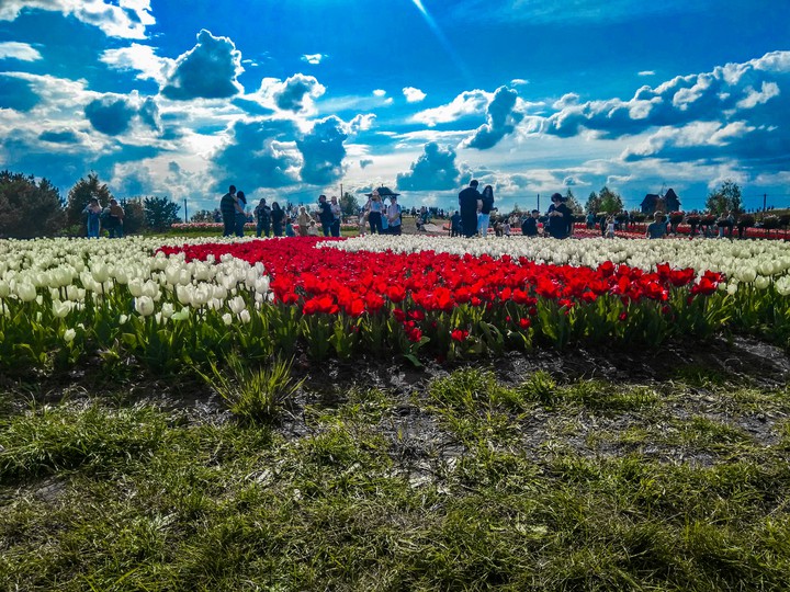 Ukraine. Kyiv. Dobropark.