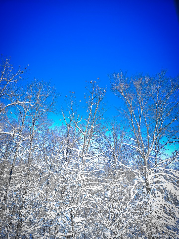 snowDay