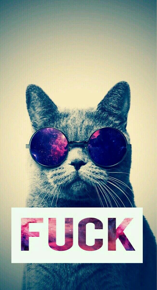 Hi Kitty