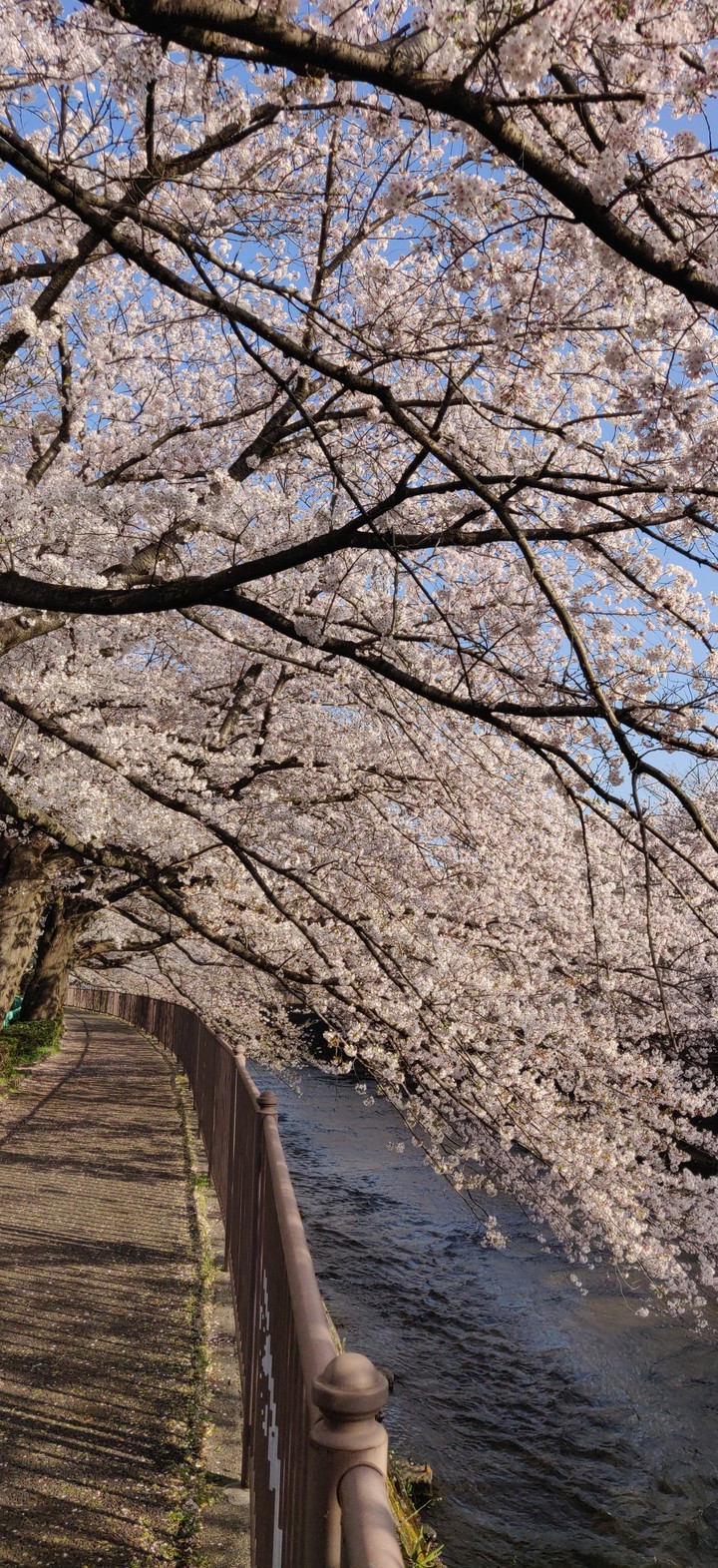 path