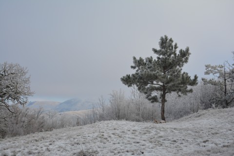 на горе