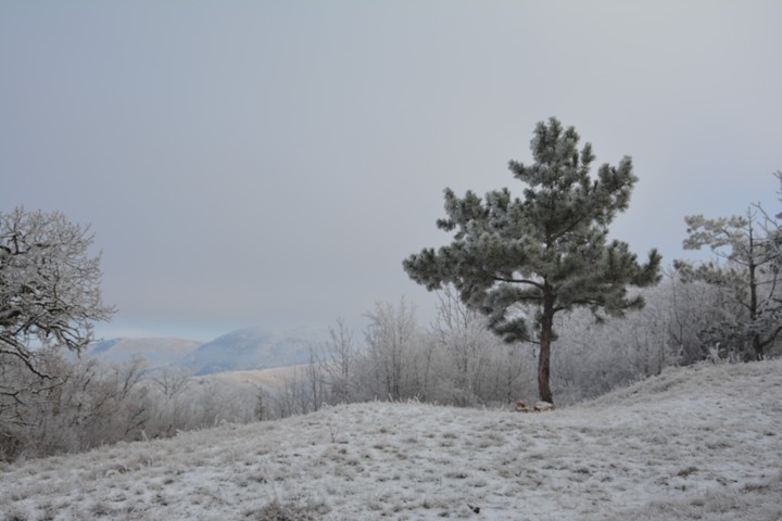 на горе
