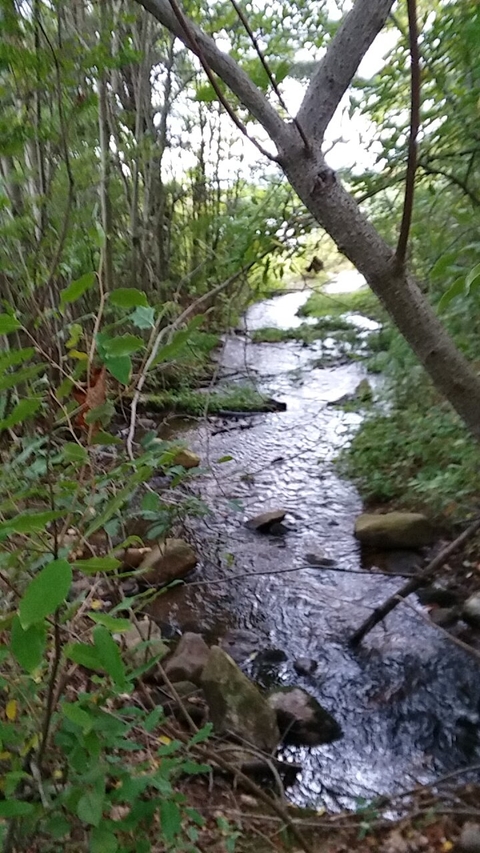 hiking