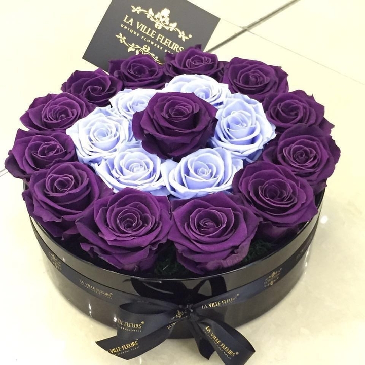 Rurple roses