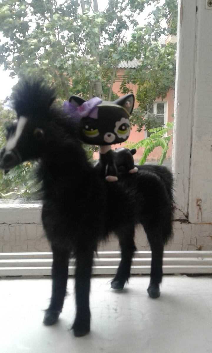 LPS на пони