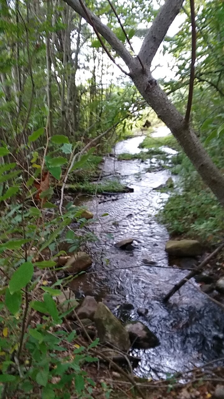 hiking