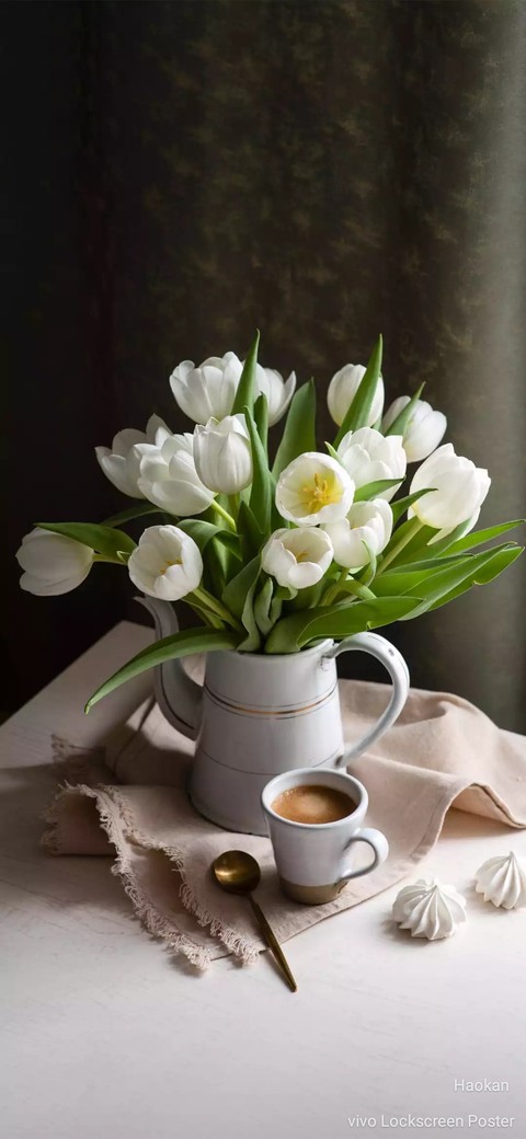 tulip